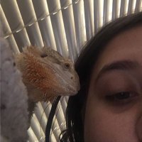 Trista🐝 (@new_trista) 's Twitter Profile