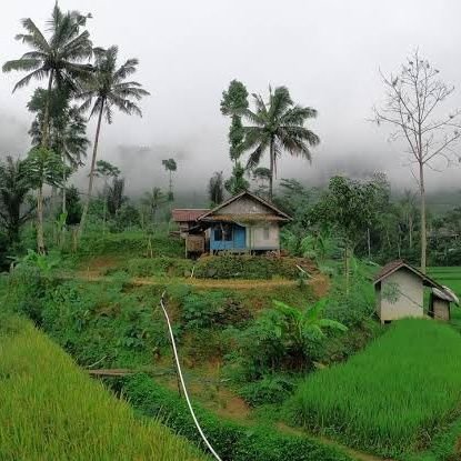 asephenhen80's profile picture. ordinary people