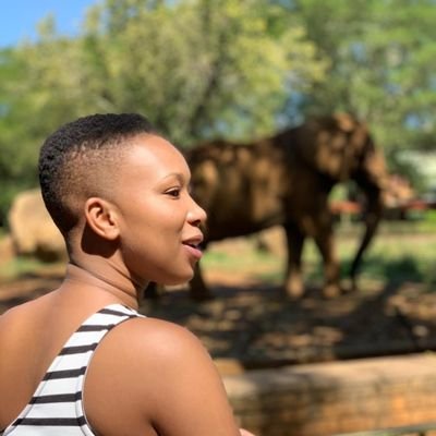 LungileLungy8's profile picture. 