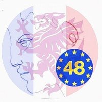 Tony Hardwick 🇪🇺 🇬🇧 🏏 🦌🀄︎ 🏳️‍🌈(@fusr2018) 's Twitter Profileg