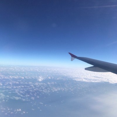 Fi3Fqd179TunTsC's profile picture. 