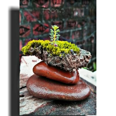 Sanjeet69874807's profile picture. #savebuxwahaforest