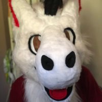 archer 🔞 (@archer_dutchie) 's Twitter Profile