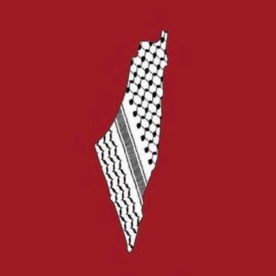 klf_yass's profile picture. 🇹🇳