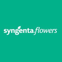 Syngenta Flowers(@SyngentaFlowers) 's Twitter Profile Photo