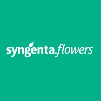 Syngenta Flowers (@syngentaflowers) 's Twitter Profile Photo