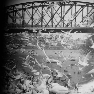 marnizez's profile picture. 🇺🇦