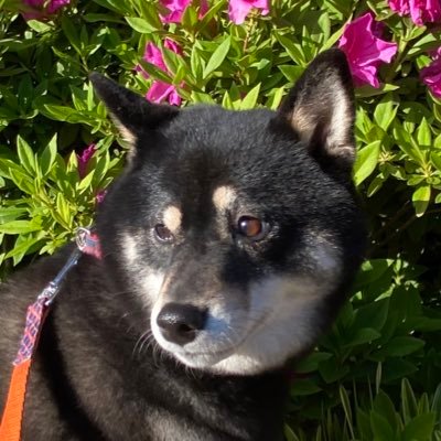 Christo62036646's profile picture. Talkin to the moon