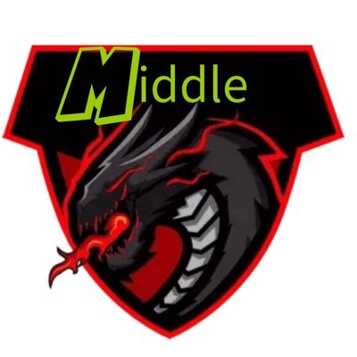 MiddleSports TEAM /提携@hiziricommunity @Kasumi_Com1 @R2__community /認定団体 @project_gameic / 大会やイベント招待、新規加入希望者DM📧へ