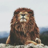 Closet Agnostic (@fundom9) 's Twitter Profile