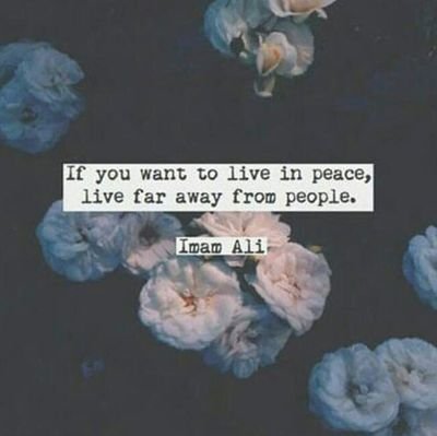live like ALI(a.s) Die Like HUSSAIN (a.s)