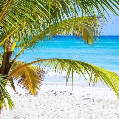 N103403's profile picture. ❤🙈