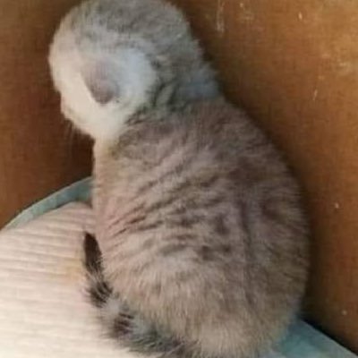 breefandpanty's profile picture. 