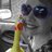 livingono24life's profile image