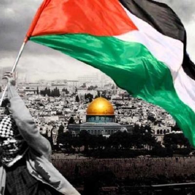 Free Palestine 🇵🇸