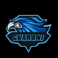 Team Guarani (@teamguarani) 's Twitter Profile