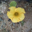 SEOK PIL LEE - @GigaBreak4 - Twitter