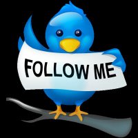 follow back 💯% (@fallowback732) 's Twitter Profile