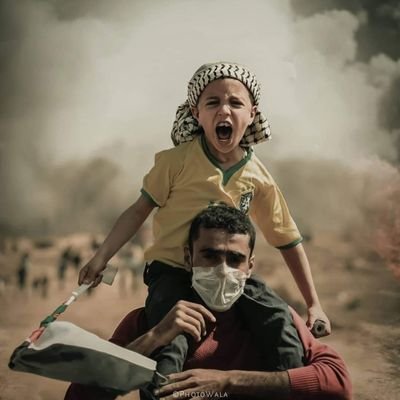 risvan77's profile picture. ​😊😊😊
photography📸