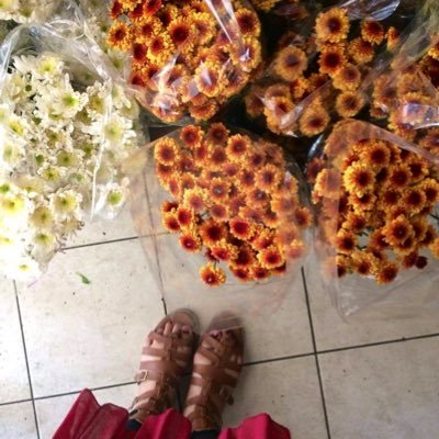 MtalksM's profile picture. My not so - open- but open DIARY 📒✍🏻
Angst and Trigger Warnings!
Confessions of a not so kind girl 👸🏻👑