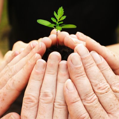 cz6886's profile picture. 