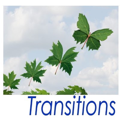Transitions aims to combat isolation and improve independence and wellbeing for vulnerable adults through volunteer mentoring and workshops.