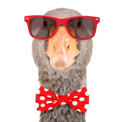 Dapp_AR's profile picture. Connect sensors to blockchain in XR. ⚙️Sensors + Unity + Robotics ⚙️#OpenSource 🚀 GitHub https://t.co/9dbSD0r22L