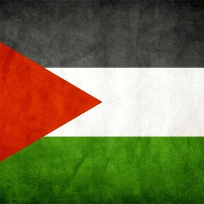 Sodium9C's profile picture. Your bio