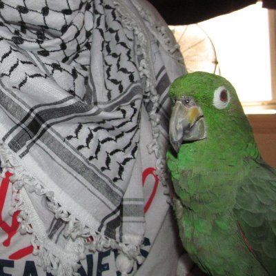 #FreePalestine🇵🇸 #BDS Profile