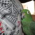 #FreePalestine🇵🇸 #BDS (@aerwaves_) Twitter profile photo #FreePalestine🇵🇸 #BDS (@aerwaves_) Twitter profile photo