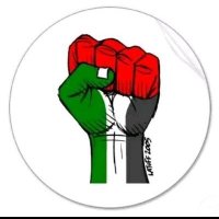 🇵🇸عبد الله🇮🇩 (@ordinary68) 's Twitter Profile Photo 🇵🇸عبد الله🇮🇩 (@ordinary68) 's Twitter Profile Photo