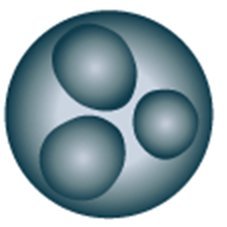 Research group based at the University of Edinburgh investigating parasite evolution and ecology.
*Tweets by various Reece lab members*