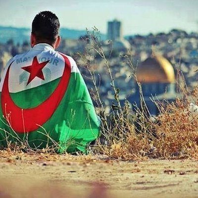 من الجزائر 🇩🇿
من لم تكن فلسطين قضيته الأولى فلا قضية له ولا مبدأ 🇵🇸🤝🇩🇿