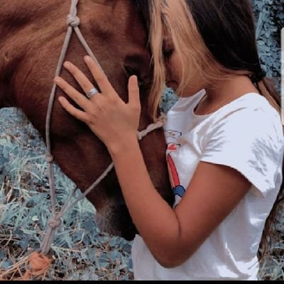 Amo los caballos♥️
Santiago del estero, la banda
sígueme y te sigo