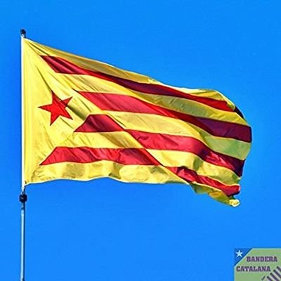 Republica Catalana ||*||

Un viatger més Republicà, Català ❤👊