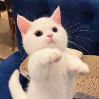 Daniel (@daniel78037553) 's Twitter Profile Photo Daniel (@daniel78037553) 's Twitter Profile Photo