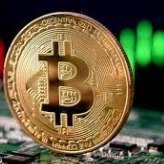 Tavan bey (@coinmar69796664) 's Twitter Profile