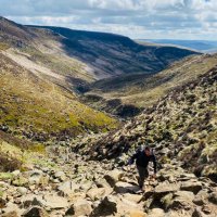 Rory Greenfield (@rorygreenfield) 's Twitter Profile Photo