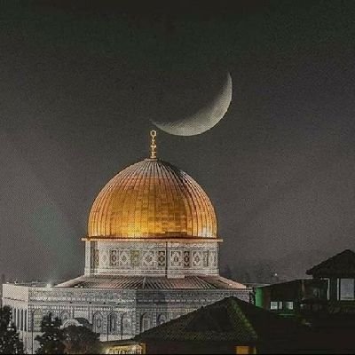 Ahlam04628511's profile picture. 