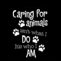 🗣 My Rights TRUMP Your Feelings 🗣 (@cynpatriotic) 's Twitter Profile