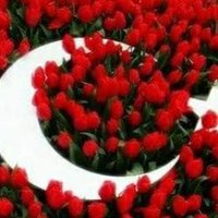 cemveceren (@gulbura79045488) Twitter profile photo