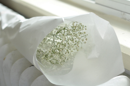 aegaaa's profile picture. 와닿는것들을 따라갑니다.