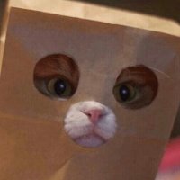 냐 (@lk_s2_) 's Twitter Profile