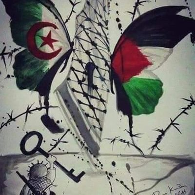 MoumenaMoun's profile picture. graphiste