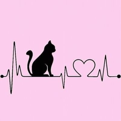 felinavala's profile picture. Amante de todos los animales, en desacuerdo con cualquier injusticia. Y catlover de hueso colorado =^^=