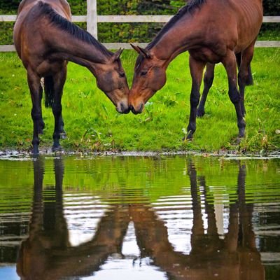 DavidMulrooney4's profile picture. 