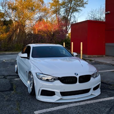 TylerTroyer6's profile picture. 