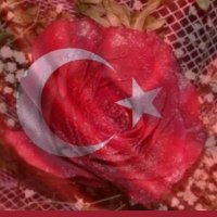 🇹🇷🌹Aysun🌹🇹🇷 (@aysunkubra55) 's Twitter Profile