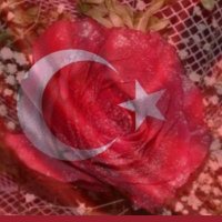 🇹🇷🌹Aysun🌹🇹🇷(@aysunkubra55) 's Twitter Profileg