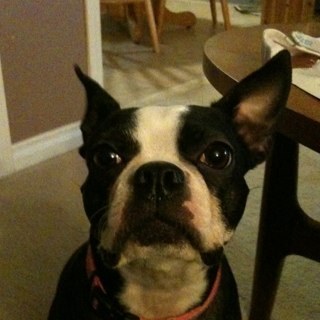 crebeccafong's profile picture. 